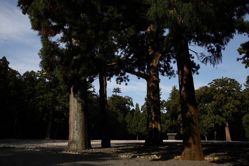 c0030874_8262924.jpg