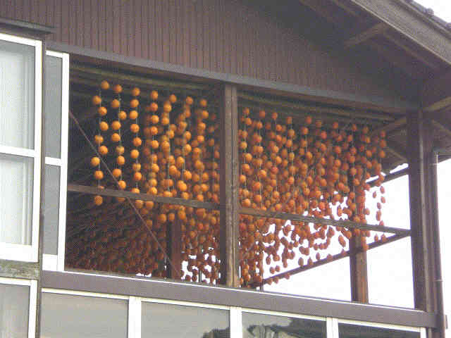 f0153475_17145965.jpg