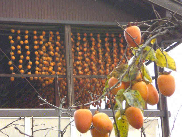 f0153475_1715888.jpg