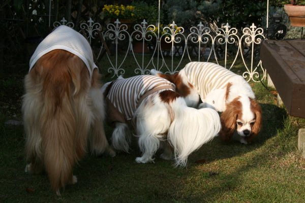 e0114977_14403699.jpg