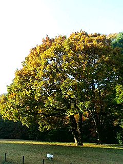 f0054677_7512620.jpg