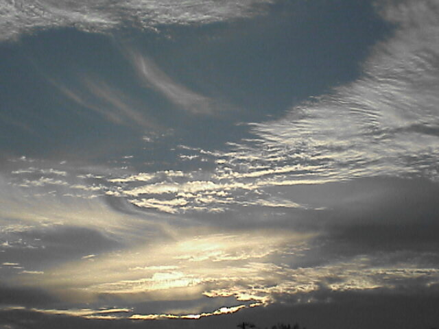 c0069380_12261341.jpg