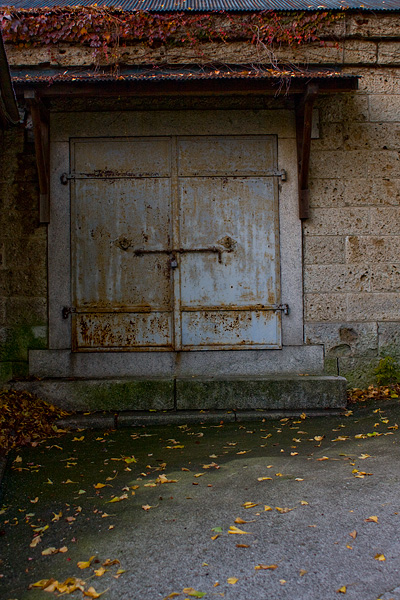 d0089281_2241459.jpg