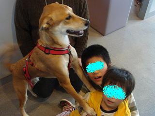 e0002891_15415615.jpg