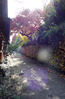 a0079292_15125279.jpg