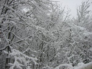 e0122199_2337214.jpg