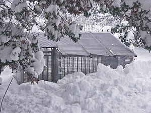 b0115200_1343910.jpg