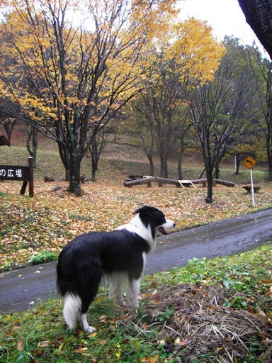 f0034602_2010190.jpg