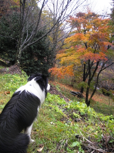 f0034602_20102246.jpg