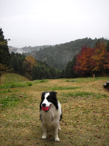 f0034602_2062938.jpg