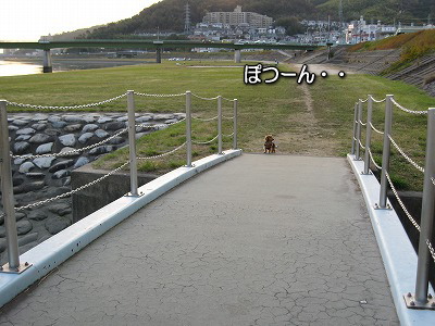 b0044804_1558051.jpg