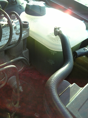 f0098210_13855.jpg