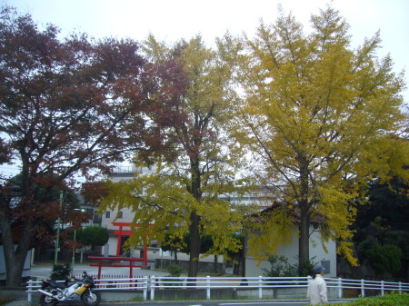 f0083013_1456823.jpg