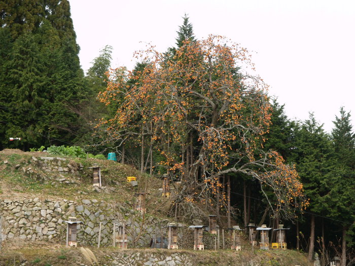 c0116915_17365782.jpg