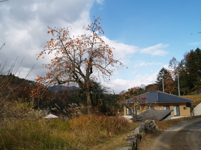 c0116915_17371528.jpg