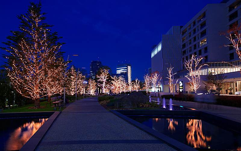 f0014815_2318450.jpg