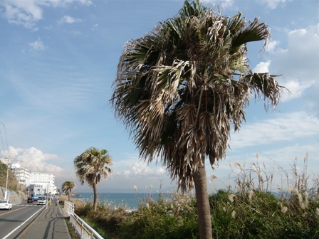 d0065116_2102859.jpg