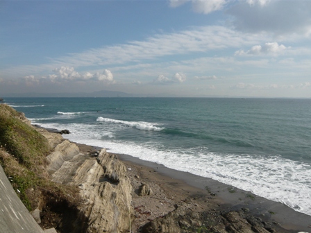 d0065116_210428.jpg