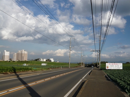 d0065116_212345.jpg