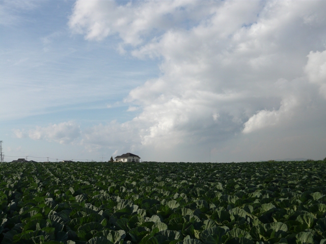 d0065116_214239.jpg