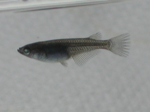 f0137616_21162743.jpg