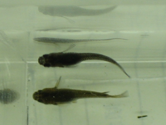 f0137616_21173690.jpg