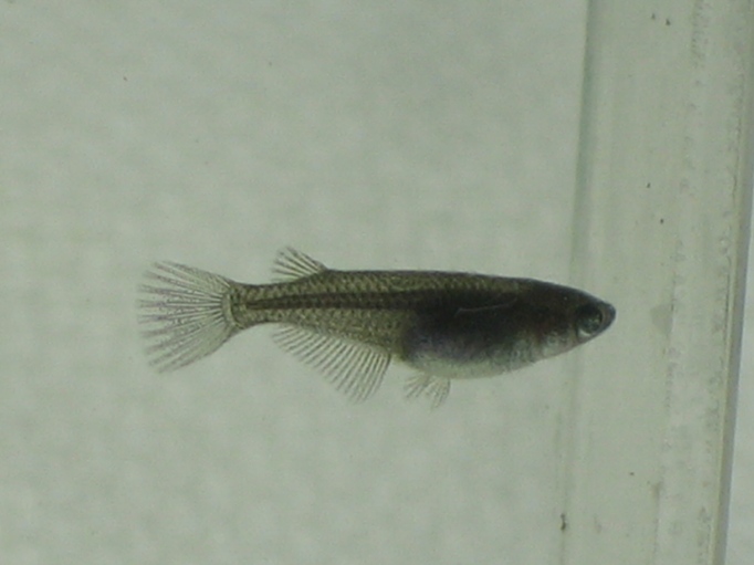 f0137616_2117949.jpg