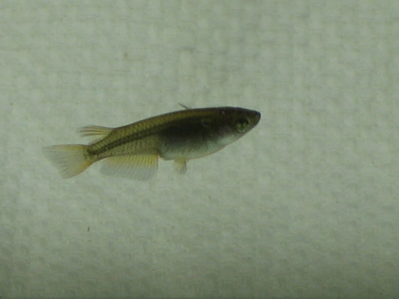 f0137616_21183964.jpg