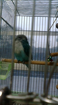 f0126418_1439124.jpg