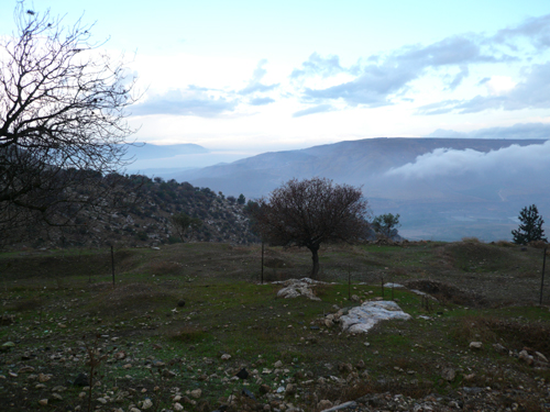 c0112823_12395295.jpg