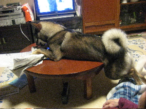 f0143123_2155717.jpg