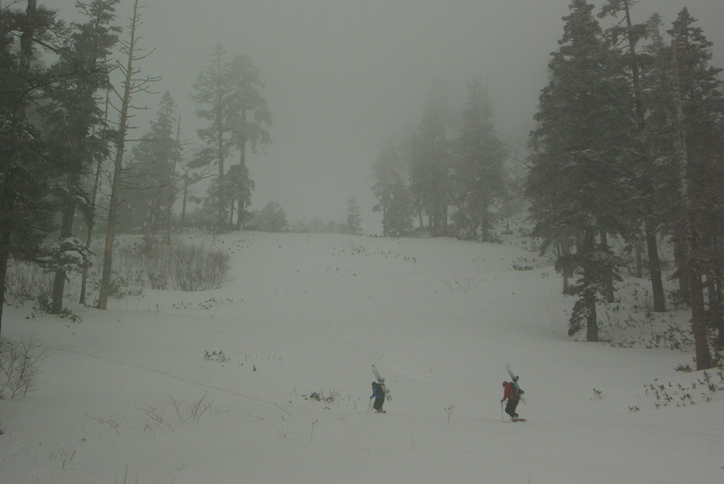 b0062024_20294583.jpg