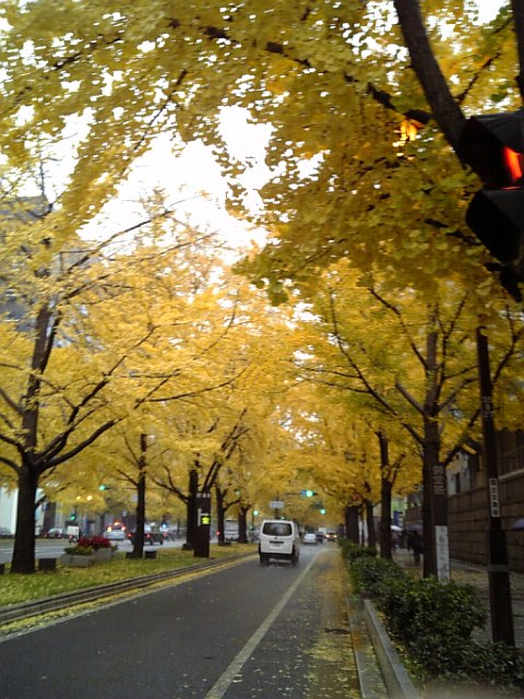 b0116327_2323250.jpg