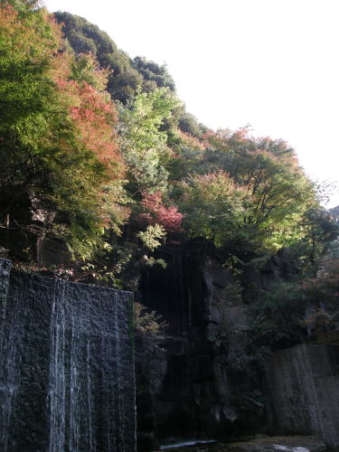 c0034029_2246377.jpg