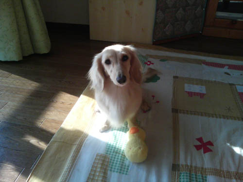 c0117831_22301757.jpg
