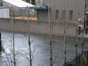 f0118332_1420699.jpg