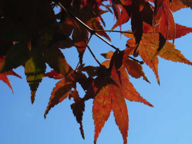 b0025633_10563216.jpg