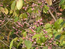 c0133533_0464076.jpg