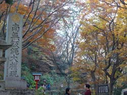 c0133533_1162527.jpg