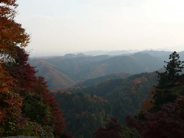 c0133533_1193261.jpg
