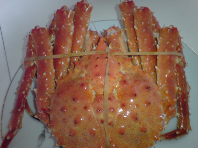 a0046339_22441443.jpg