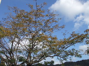 a0054240_17543345.jpg