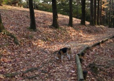 c0119142_123509.jpg
