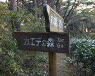 c0119142_1263124.jpg