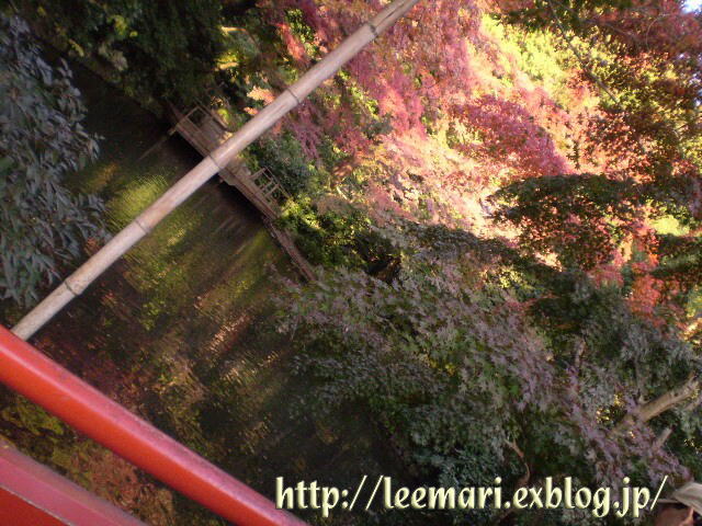 d0020443_20473179.jpg