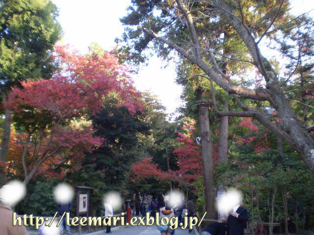 d0020443_2047994.jpg