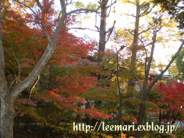 d0020443_20481488.jpg