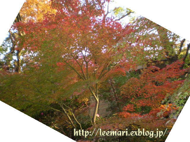 d0020443_20504653.jpg