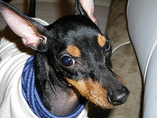 c0123149_18563934.jpg