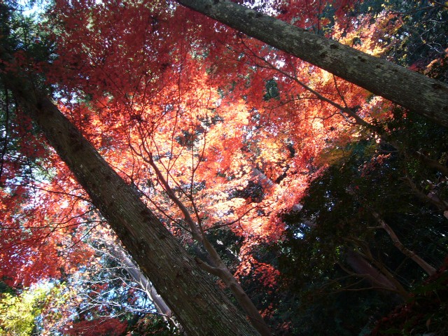 f0091250_22534545.jpg